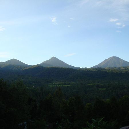 Edy Homestay Munduk エクステリア 写真