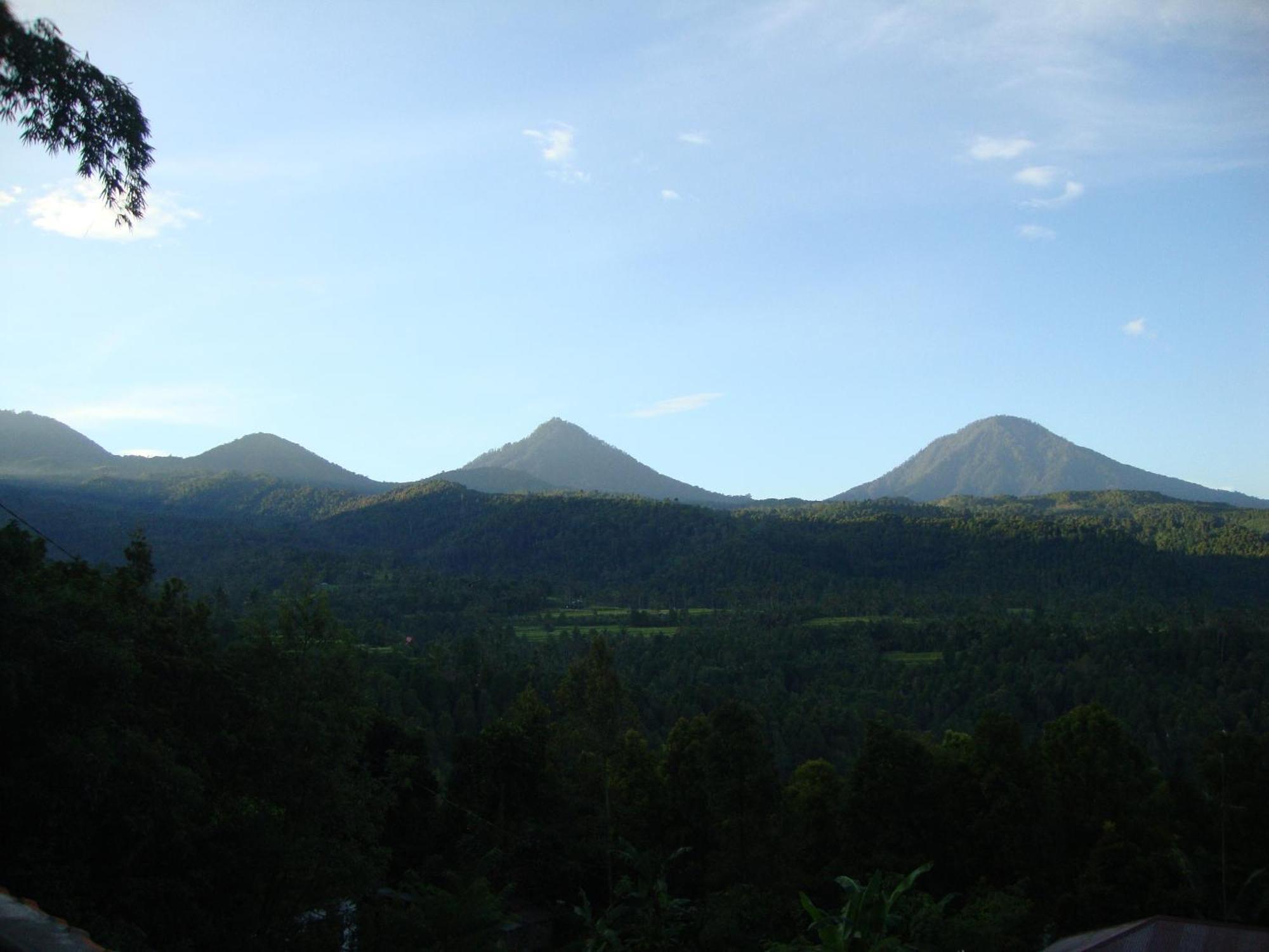 Edy Homestay Munduk エクステリア 写真
