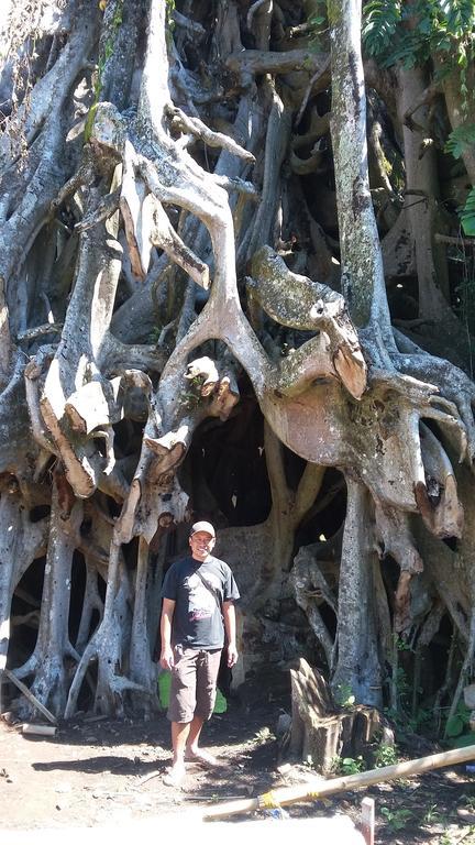 Edy Homestay Munduk エクステリア 写真
