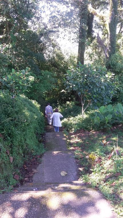 Edy Homestay Munduk エクステリア 写真