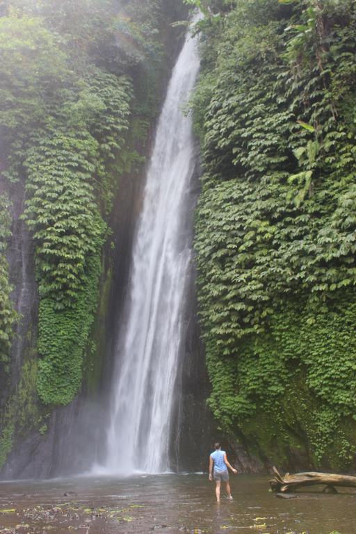 Edy Homestay Munduk エクステリア 写真